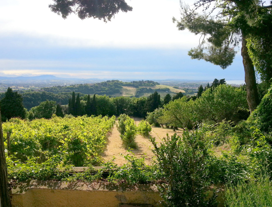 media.Gallery_Conventino_Gradara_5Catering_Banqueting