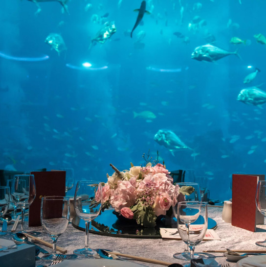 media.Gallery_AcquarioCattolica_1Catering_Banqueting